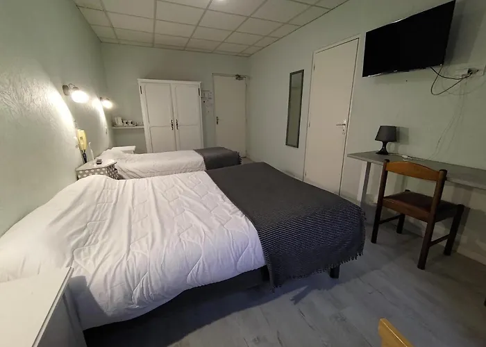 Hotel Du Lion Vert