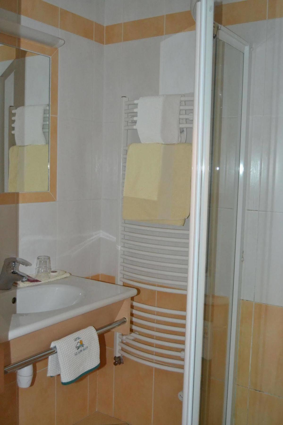 Hotel Du Lion Vert Luxeuil-les-Bains